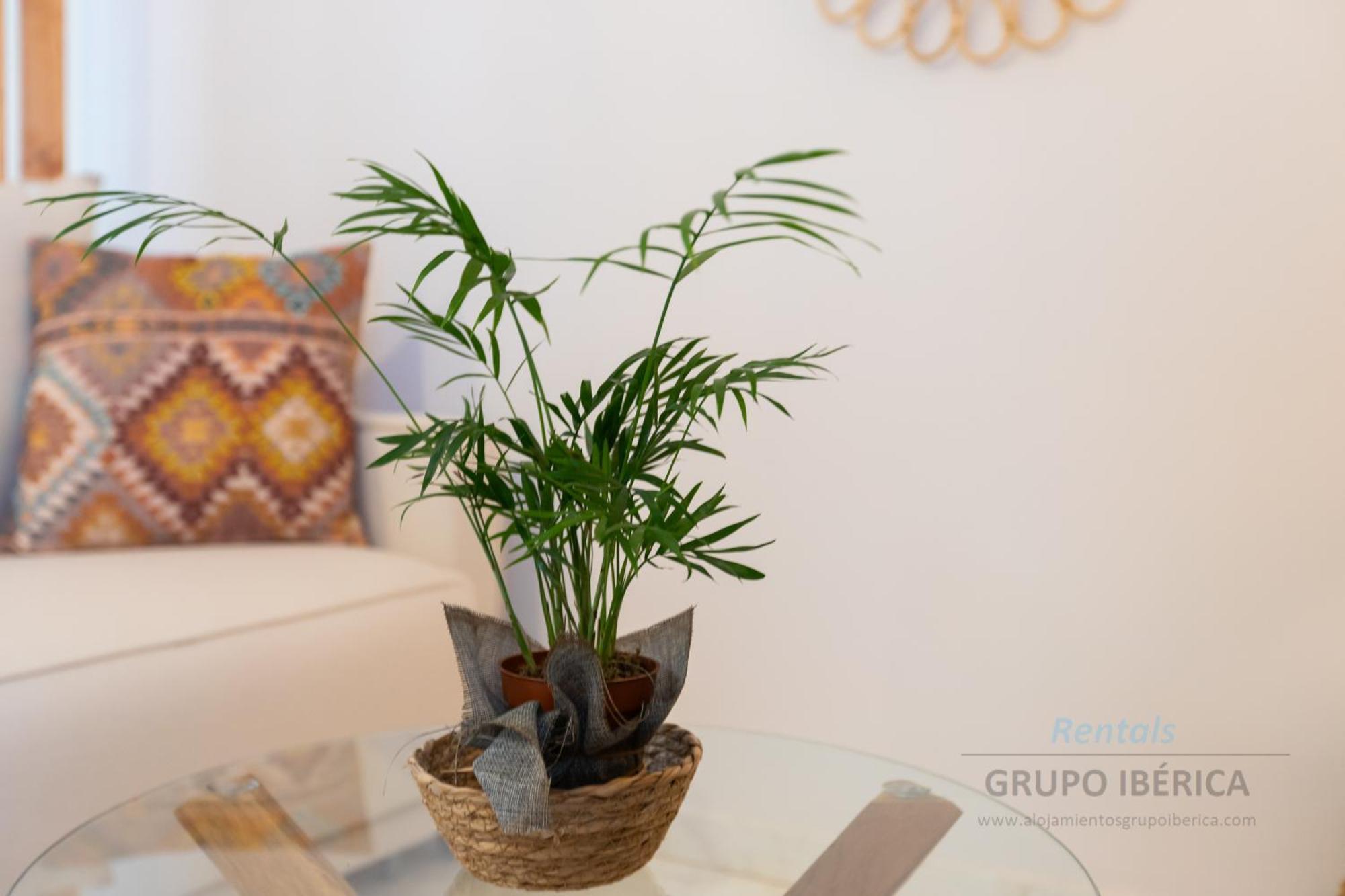 Apartment Loma Del Colegial ตอร์เรโมลิโนส ภายนอก รูปภาพ